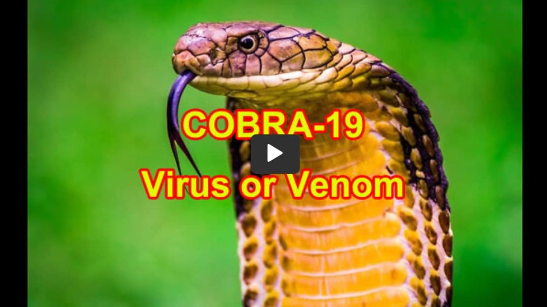 COBRA-19 Virus or Venom - And it may be in your tap water !!!