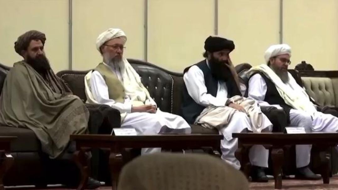 The Taliban has banned poppy cultivation and the export of all drugs -