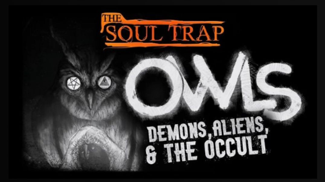 ⁣Owls, Spirit World,  Aliens,  & The Occult.
