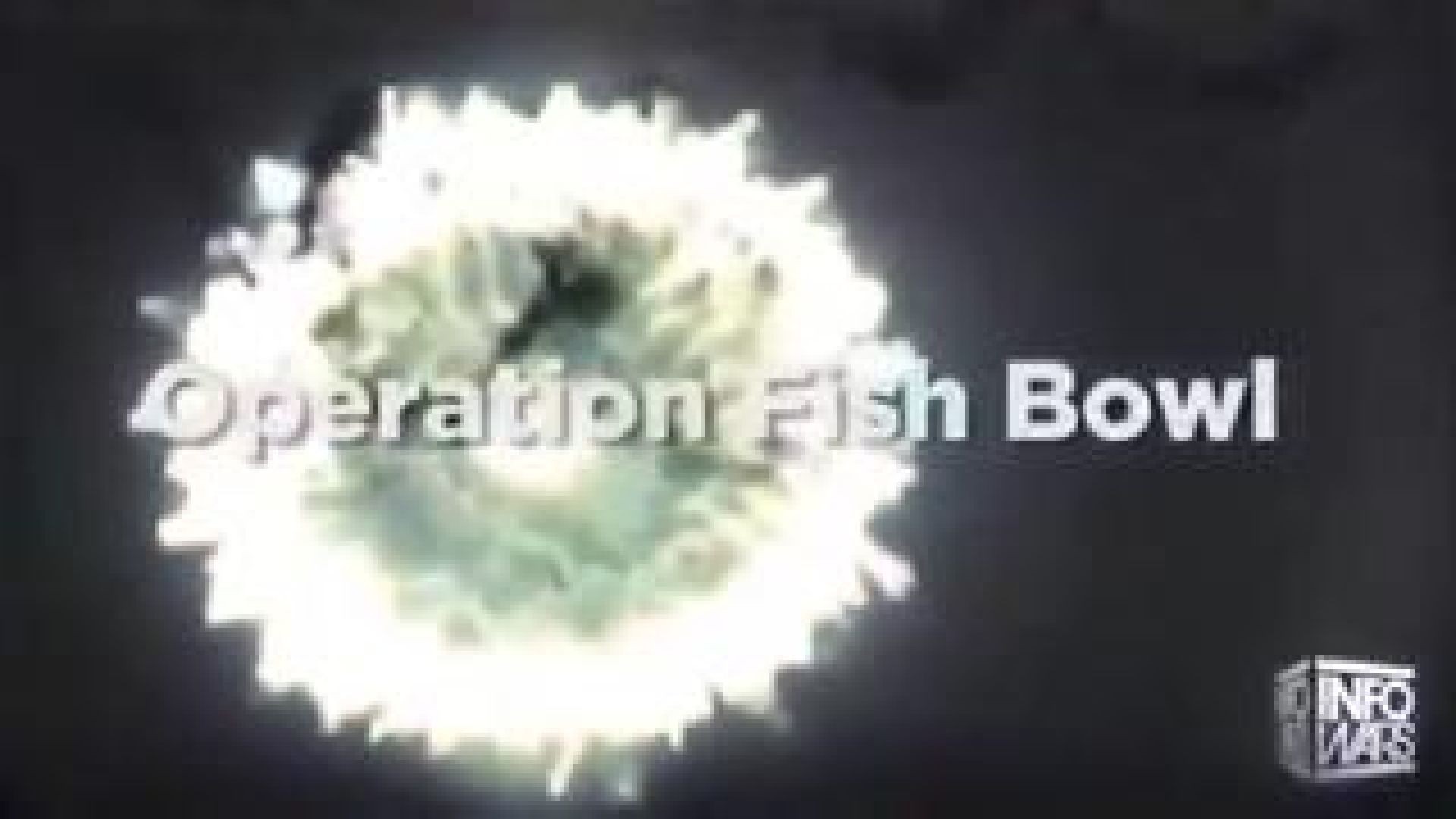 OPERATION FISH BOWL - [GREG REESE]