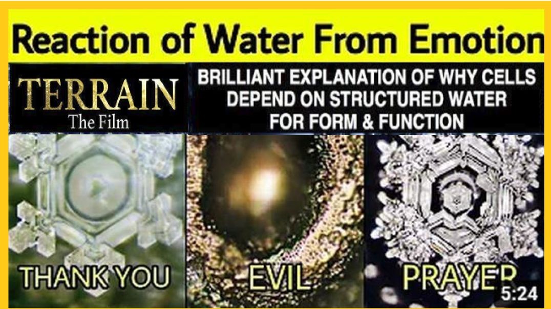 ⁣WATER HAS MEMORY [CELLS DEPEND ON STRUCTURED WATER FOR FORM & FUNCTION]