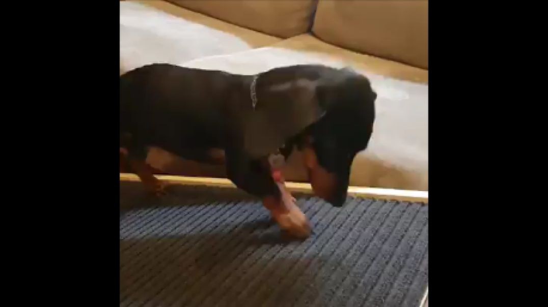 Sausage upper body exercise