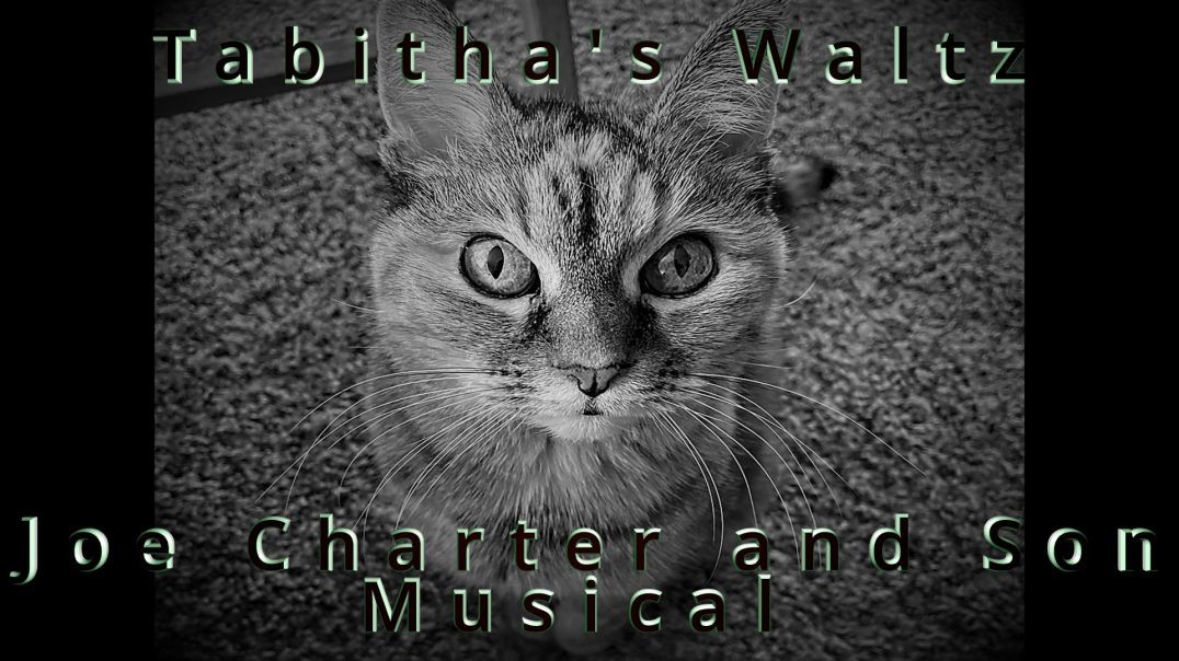 Tabitha's Waltz by Joe Charter and Son #music #cats