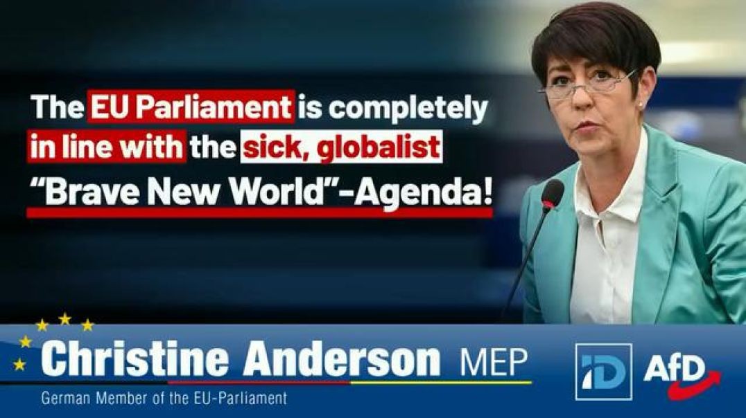 German MEP Christine Anderson intervention in an empty EU parliament