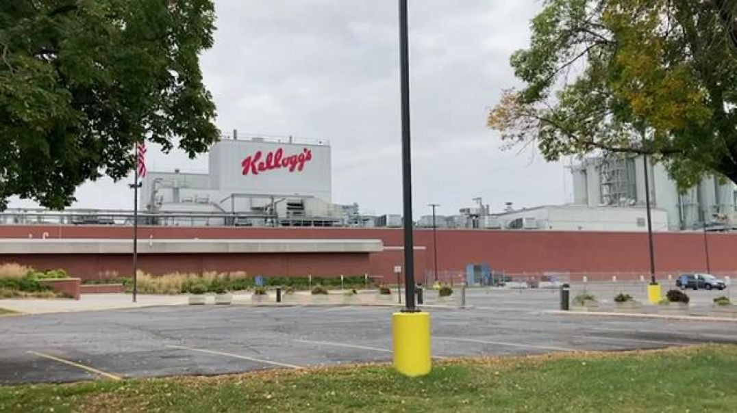 Kelloggs To Split Into Three Companies With A Focus On Plant-Based Meats