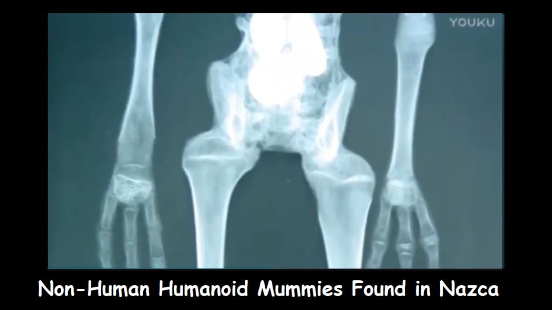Non-Human Humanoid Mummies Found in Nazca