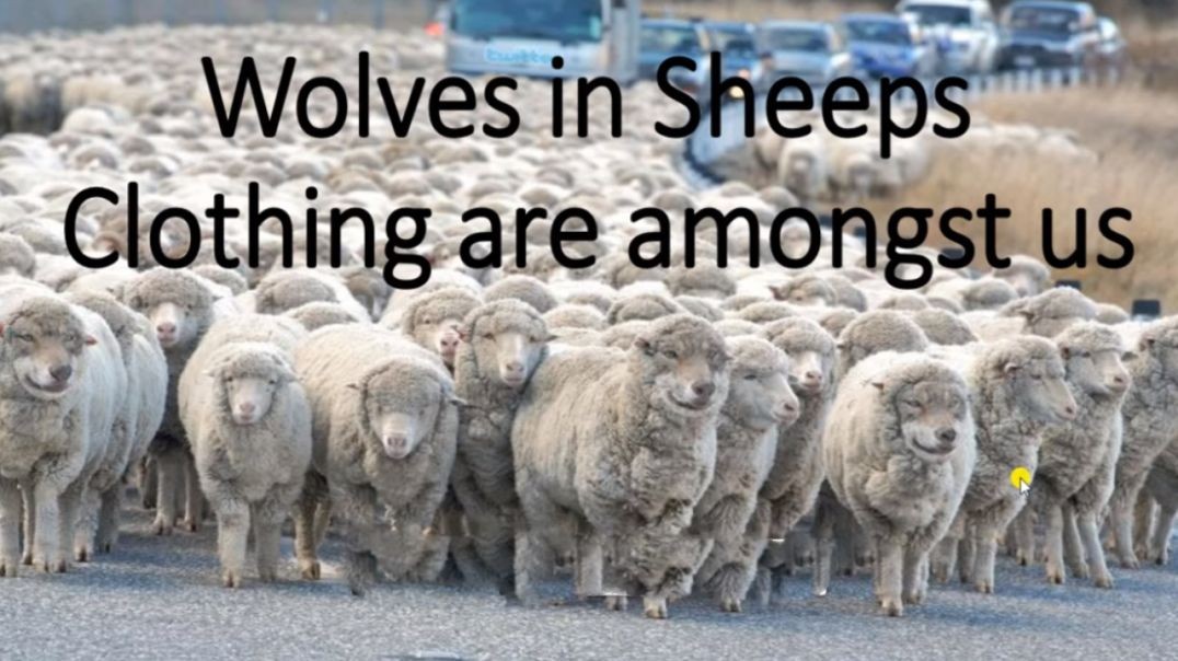 Wolves In Sheep Clothing Amongst Us (Symbolism)