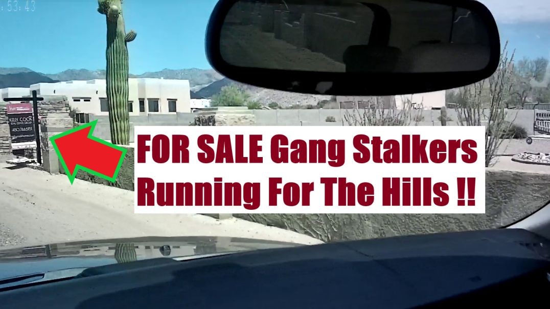 DHS GANG STALKERS ARE RUNNING FOR HILLS !!! - UPDATE Part 2
