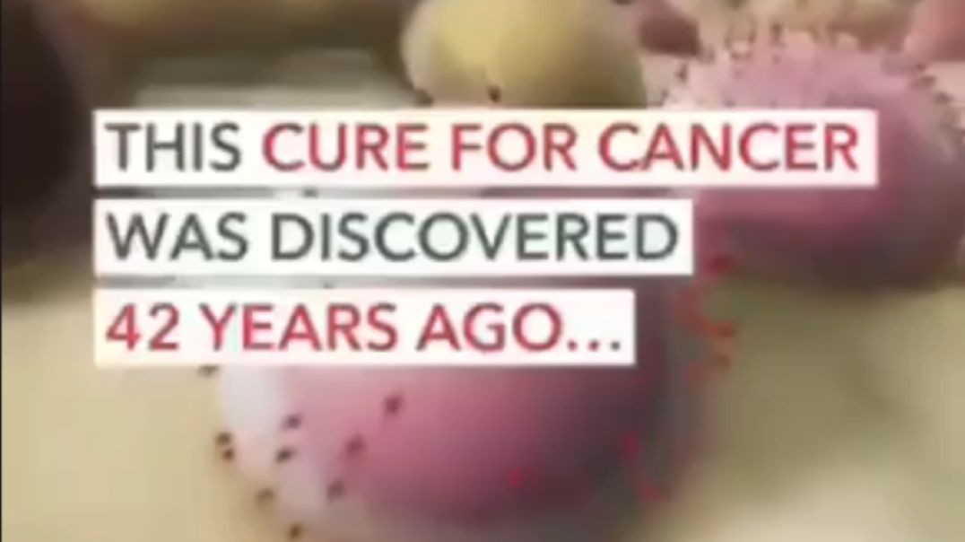 Here is the Cure for CANCER!