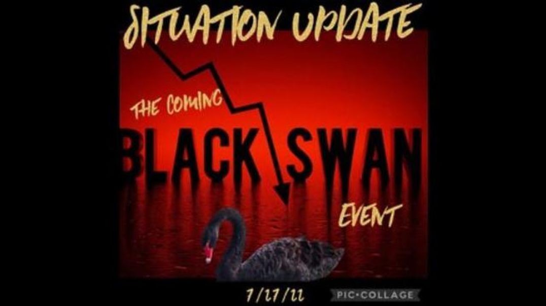 Situation Update - The Coming Black Swan Event Imminent!