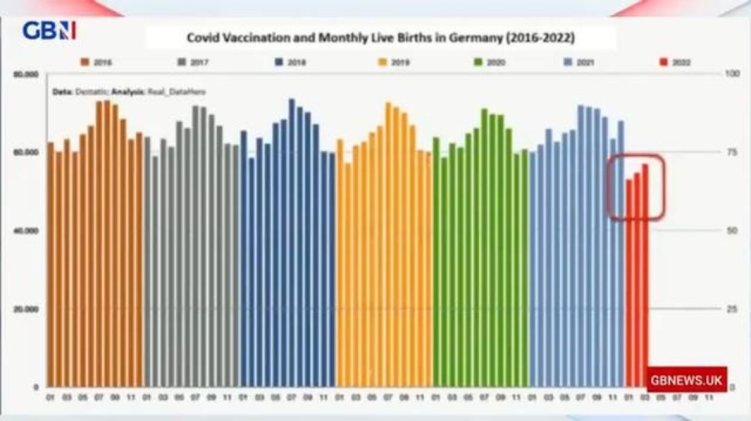 Falling Birth Rates in Multiple Countries Following Vax Rollouts