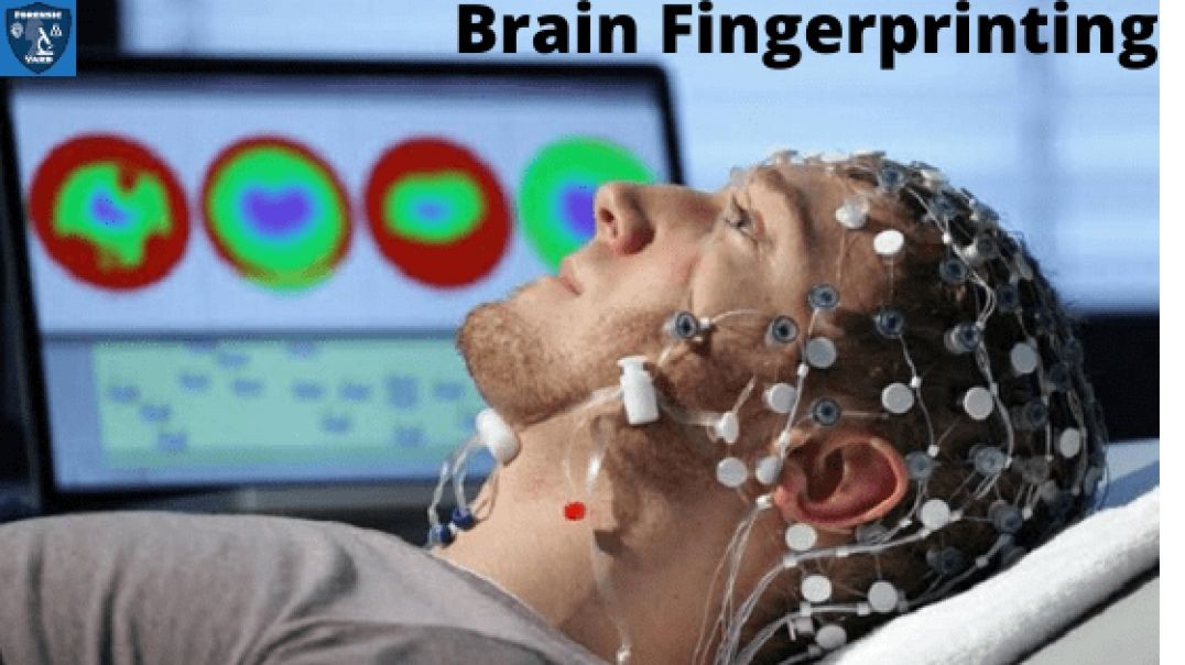 Brain Fingerprinting on Fox 5