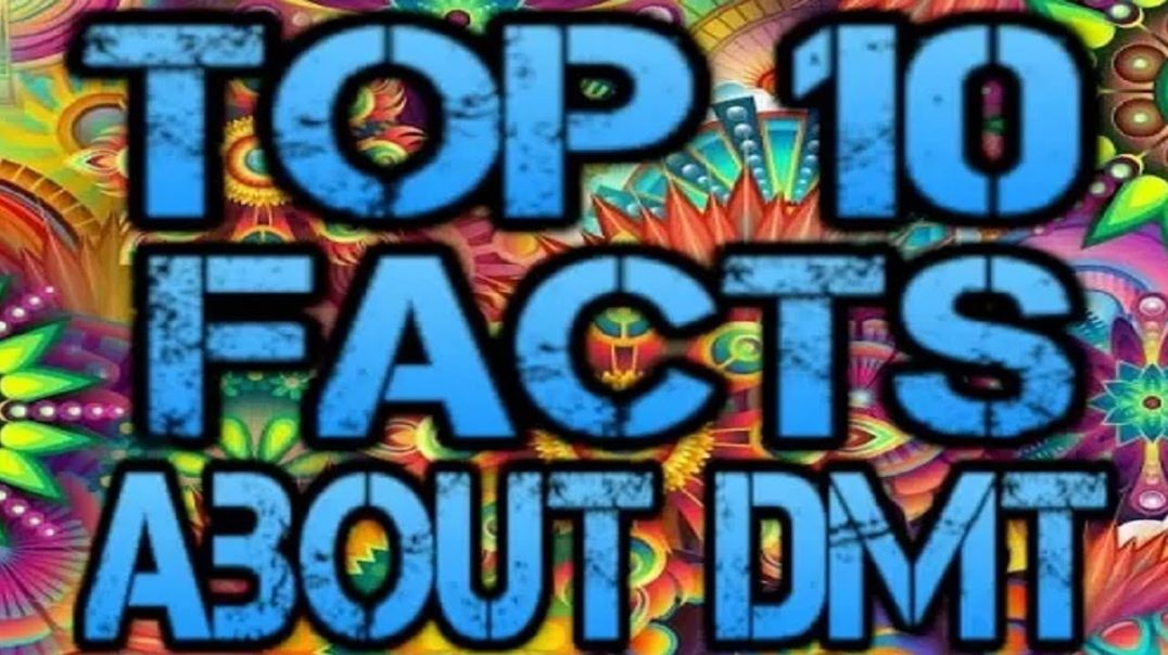TOP 10 FACTS ABOUT DMT (N, N-Dimethyltryptamine)