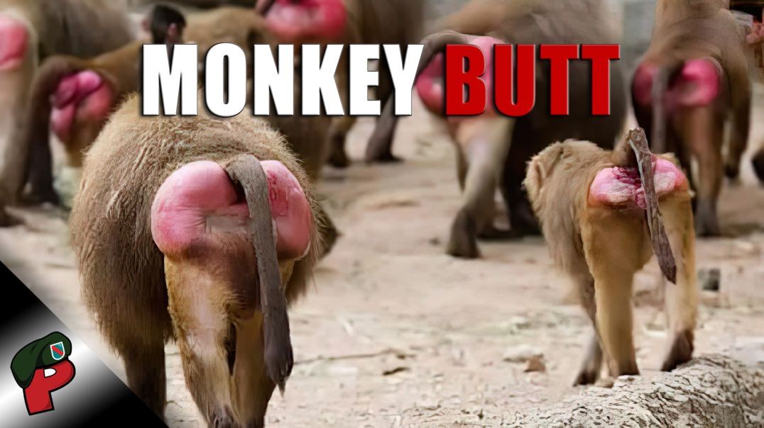 ⁣Monkey Butt | Grunt Speak Shorts