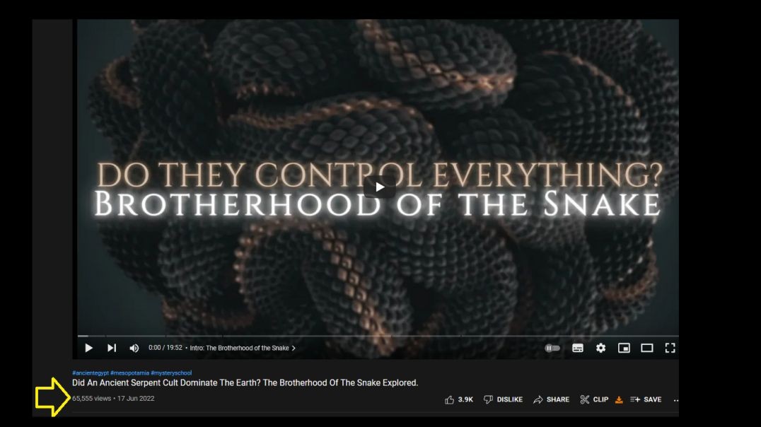 Did An Ancient Serpent Cult Dominate The Earth? The Brotherhood Of The Snake Explored