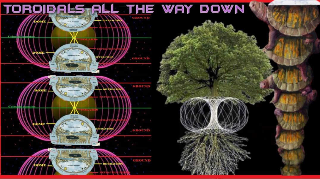 ⁣TOROIDALS ALL THE WAY DOWN - [AS Above So Below System Explained]