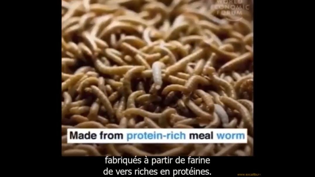 Eating insects to save the planet (World Economic Forum)