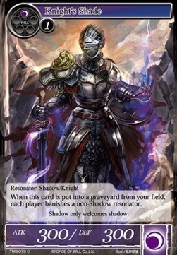 Knight's Shade - The Moonlit Savior