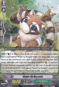 Wash Up Racoon [G Format] - Catastrophic Outbreak