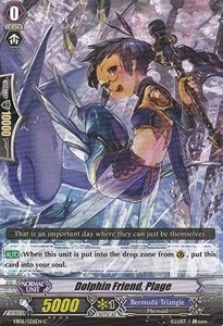 Dolphin Friend, Plage [G Format] - Dazzling Divas