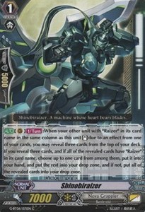 Shinobiraizer [G Format] - Transcension of Blade & Blossom
