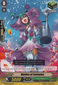 Maiden of Evolvulus [G Format] - Absolute Judgment
