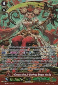 Ranunculus in Glorious Bloom, Ahsha [G Format] - Absolute Judgment