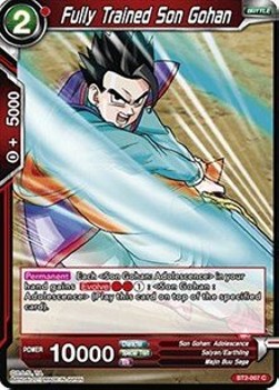 Fully Trained Son Gohan - Union Force