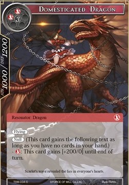 Domesticated Dragon - The Time Spinning Witch