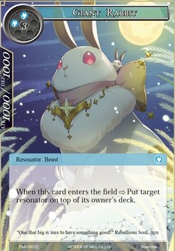 Giant Rabbit - The Time Spinning Witch