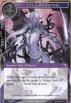 Lily's Protector - The Time Spinning Witch