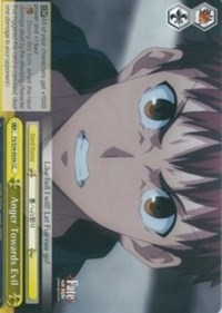 Anger Towards Evil - Fate/stay night