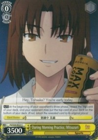 During Morning Practice, Mitsuzuri - Fate/stay night