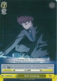 Self-training - Fate/stay night