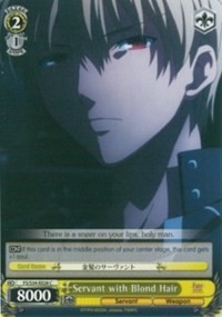 Servant with Blond Hair - Fate/stay night