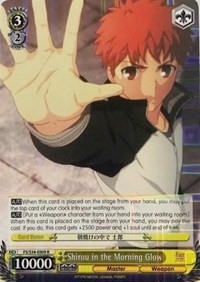 Shirou in the Morning Glow - Fate/stay night