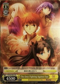 The Ones Fighting Against Fate - Fate/stay night