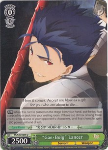 "Gae-Bolg" Lancer - Fate/stay night: Vol.2