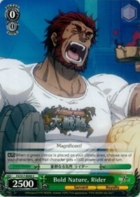 Bold Nature, Rider - Fate/Zero