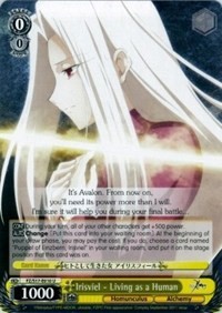 Irisviel - Living as a Human - Fate/Zero