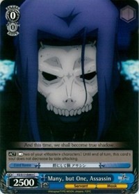 Many, but One, Assassin - Fate/Zero