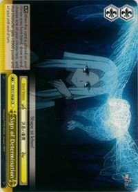 Sign of Determination - Fate/Zero