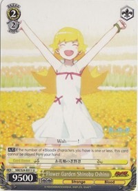 Flower Garden Shinobu Oshino - Nisemonogatari