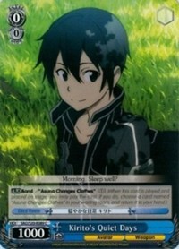 Kirito's Quiet Days - Sword Art Online