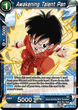 Awakening Talent Pan - World Martial Arts Tournament