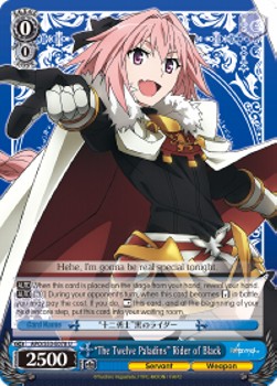 "The Twelve Paladins" Rider of Black - Fate/Apocrypha