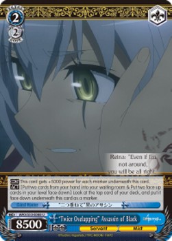 "Twice Overlapping" Assassin of Black - Fate/Apocrypha