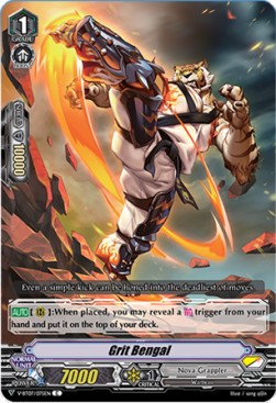 Grit Bengal [V Format] - Infinideity Cradle