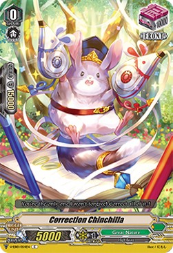 Correction Chinchilla [V Format] - The Mysterious Fortune