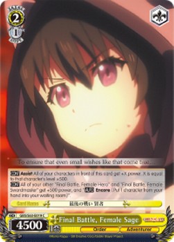 Final Battle, Female Sage - Goblin Slayer